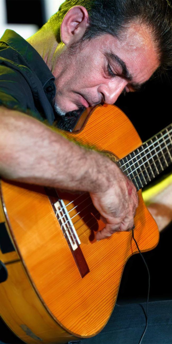 Fotografa festivals d'estiu